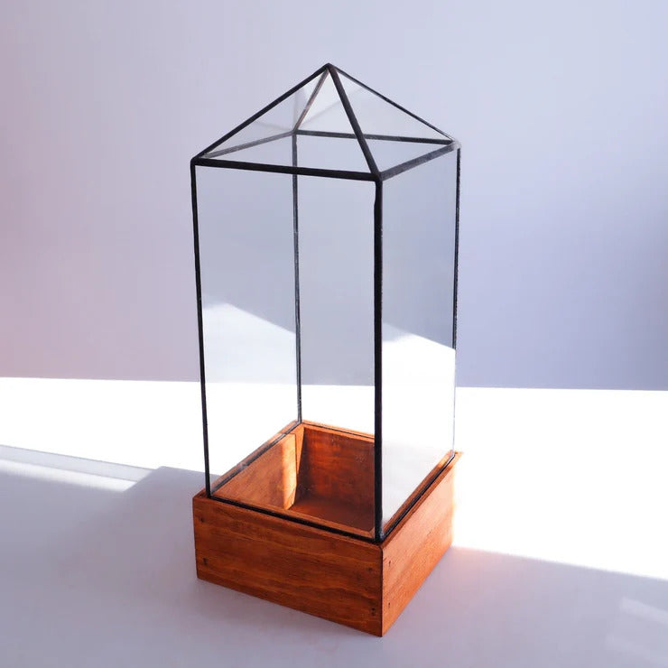 Wardian case terrarium med glas og træbund