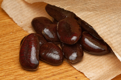 De store og skinnende frø fra Paw paw (Asimina triloba)