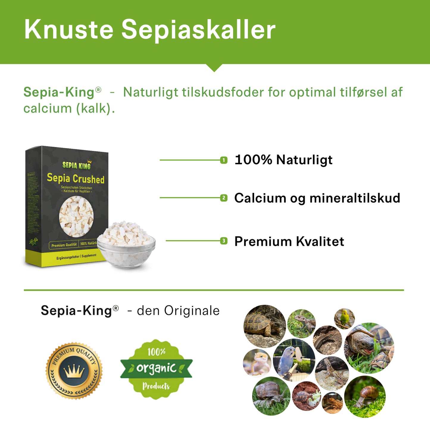 Knuste sepiaskaller indhold